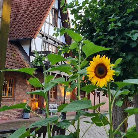 30 Min Bis Hamburg * Klein Offenseth-Sparrieshoop