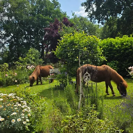 30 Min Bis Hamburg Apartment