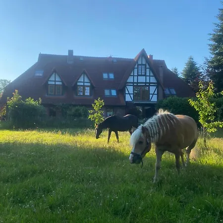 30 Min Bis Hamburg Apartment *